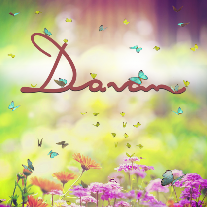 Banner Primavera Davan